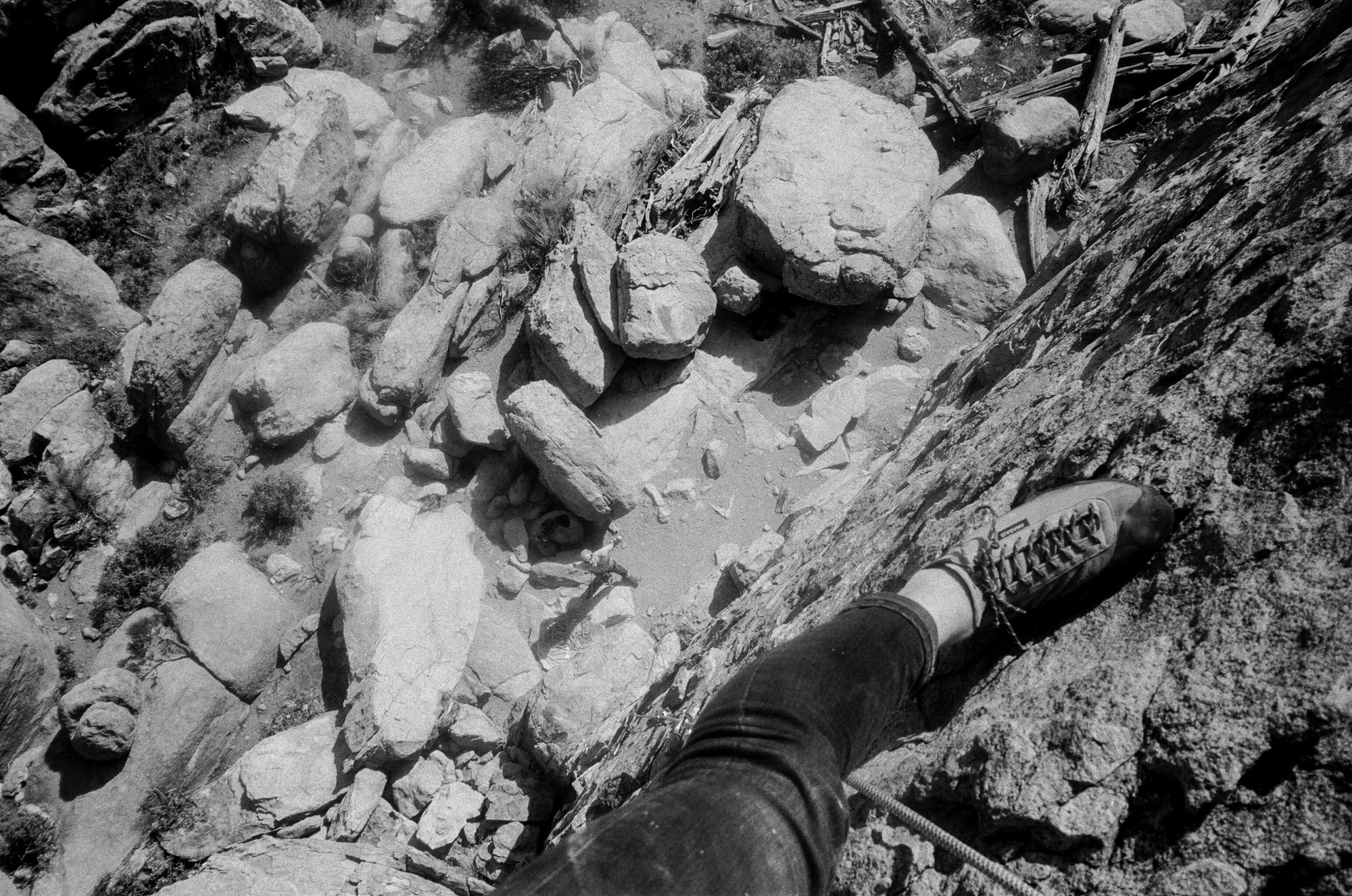 Film photo from the top of Coyotes at Sunset