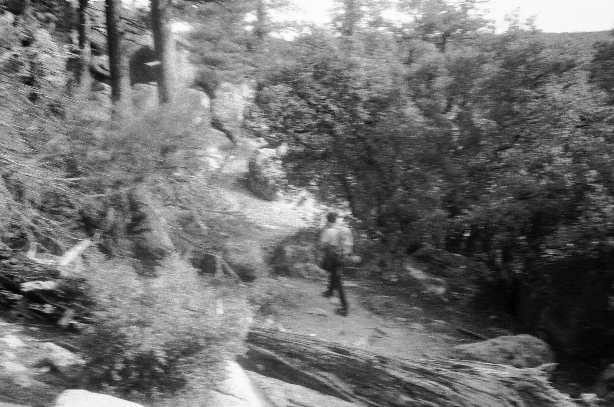 Trying to find the trail to take us back to our car