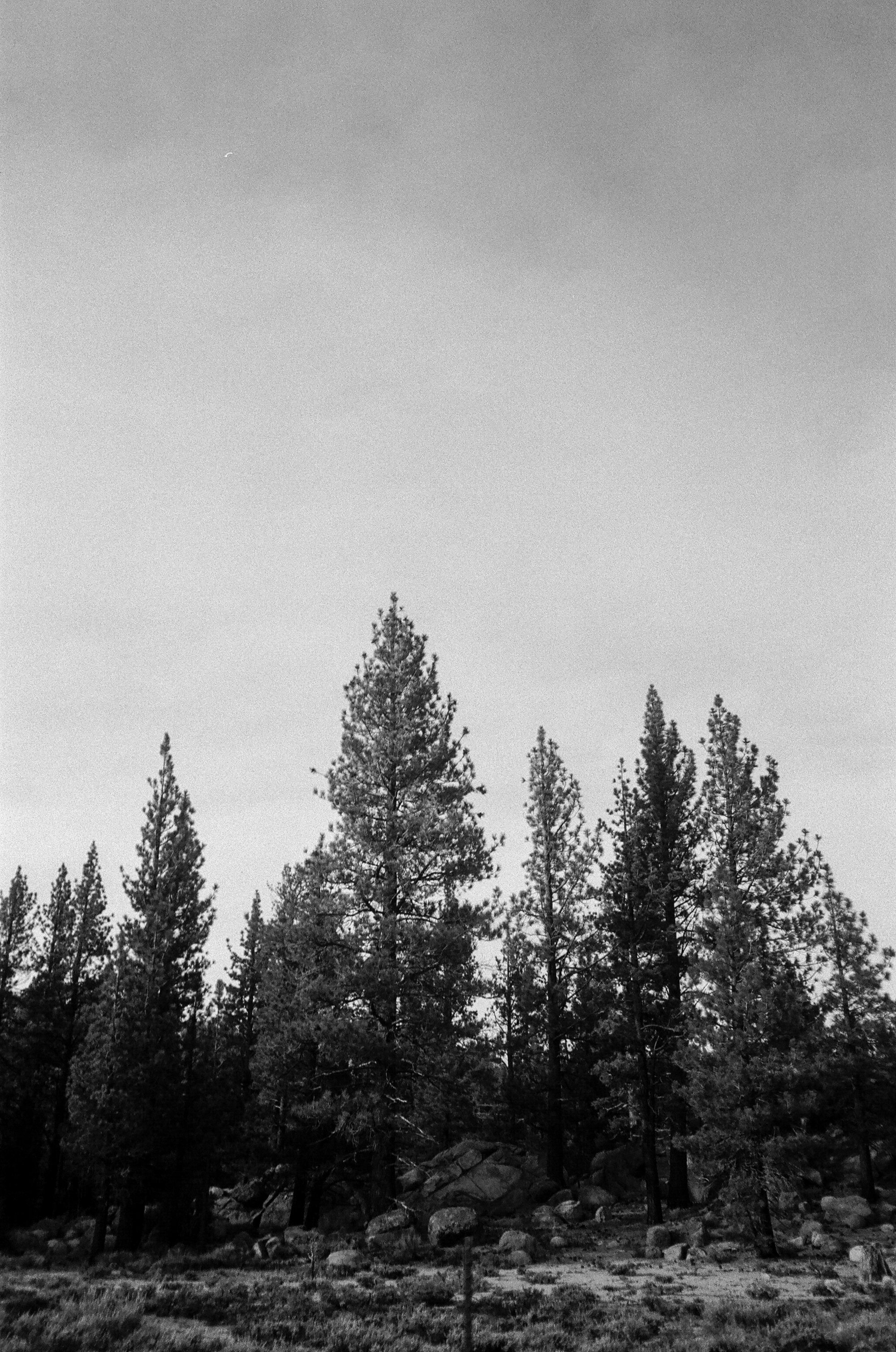 Big Bear mountain is beautiful in the spring