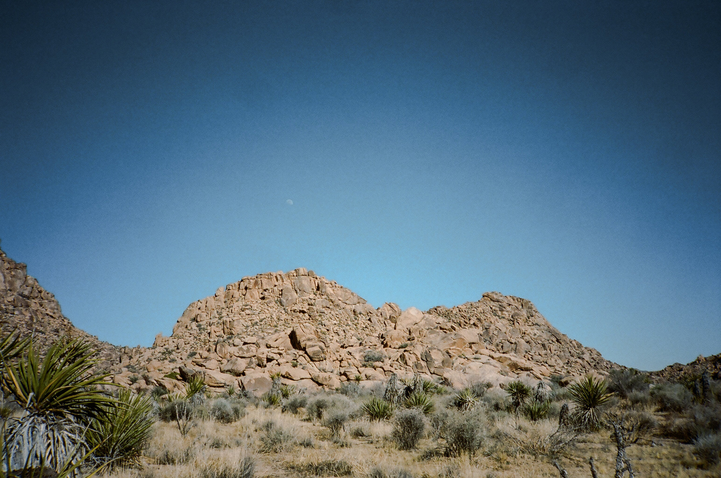 Joshua Tree landscape