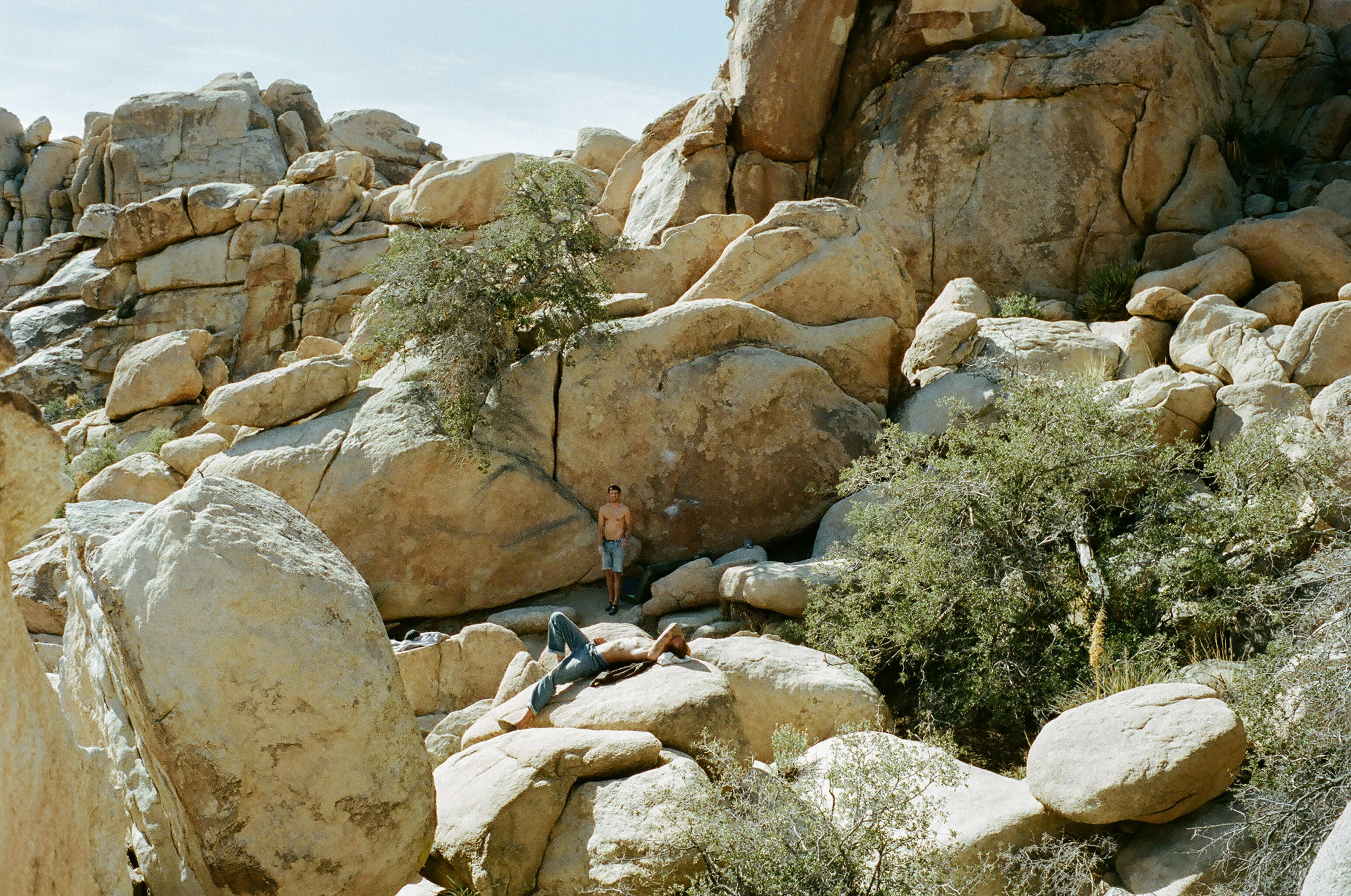 Unnamed V3 next to the Voices Rock