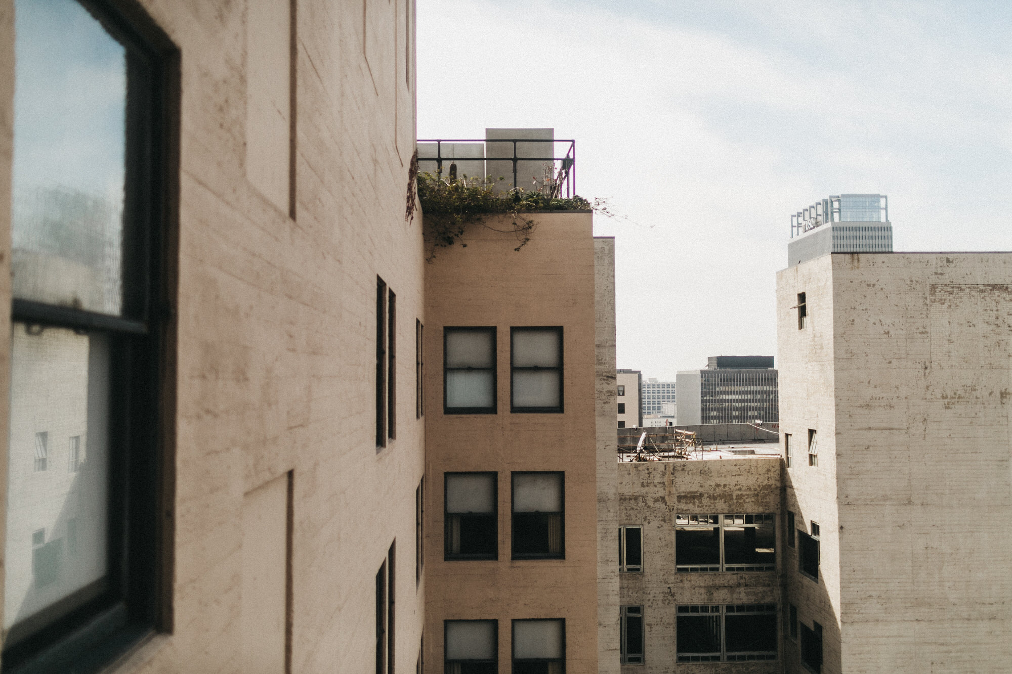 los angeles ace hotel