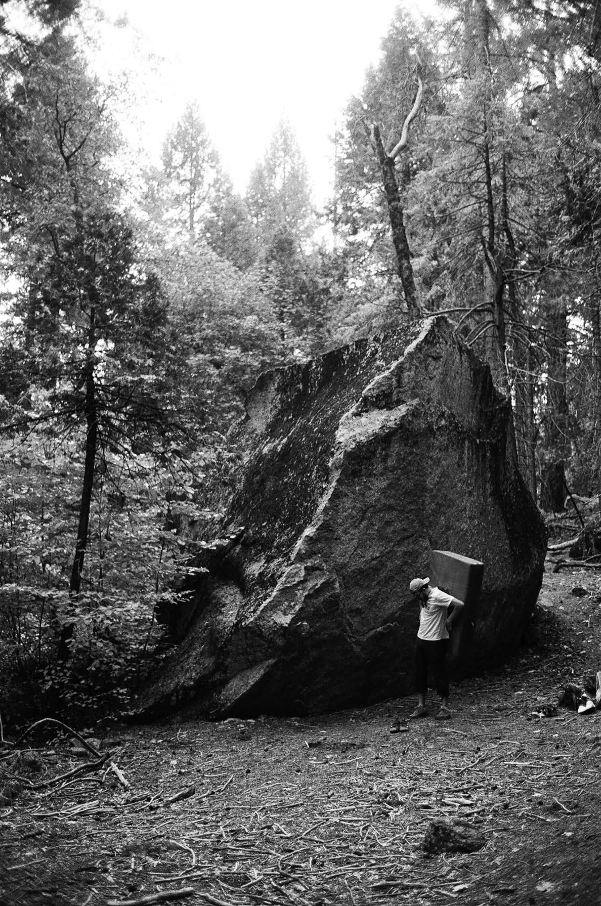 boulders in yosemite