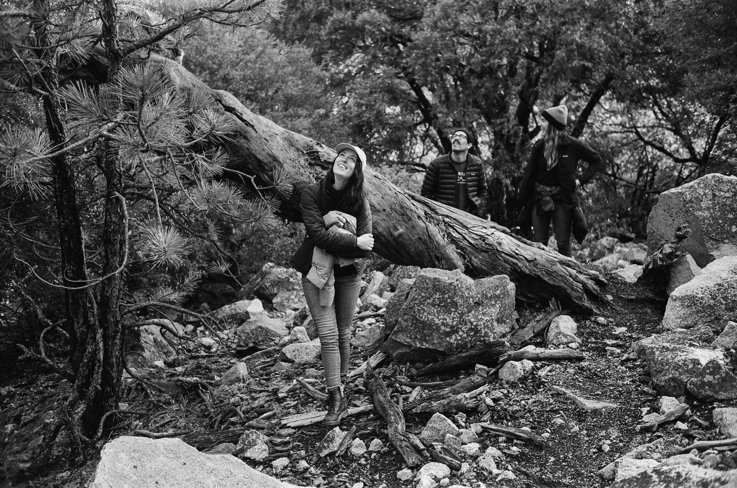 Yosemite, Ca | Leica M6 | Ilford HP5+ | Pt. II