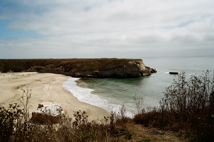 big-sur-wedding-photographer