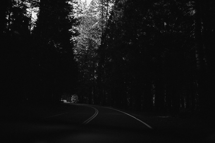 yosemite-wedding-photogrpher-1