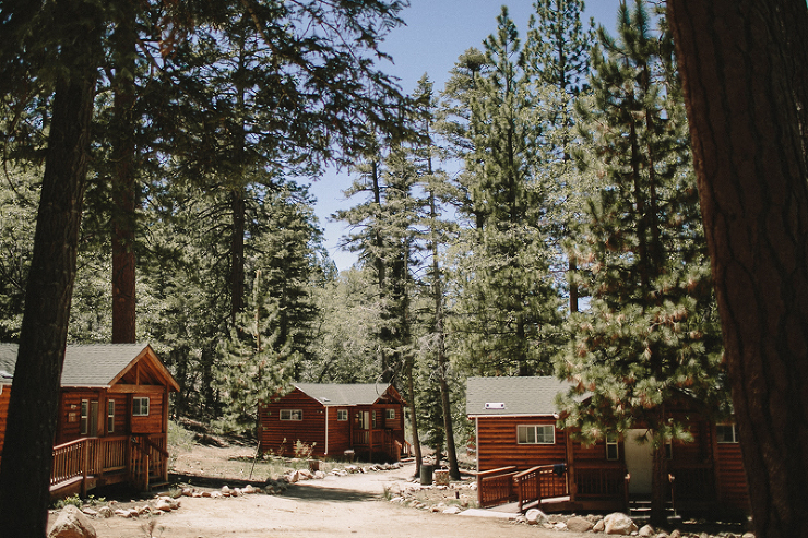 camp conrad chinnock