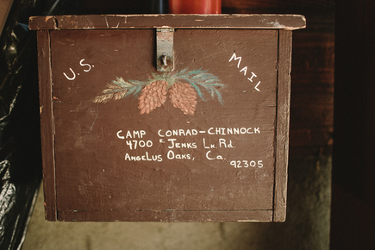 nature wedding photographer