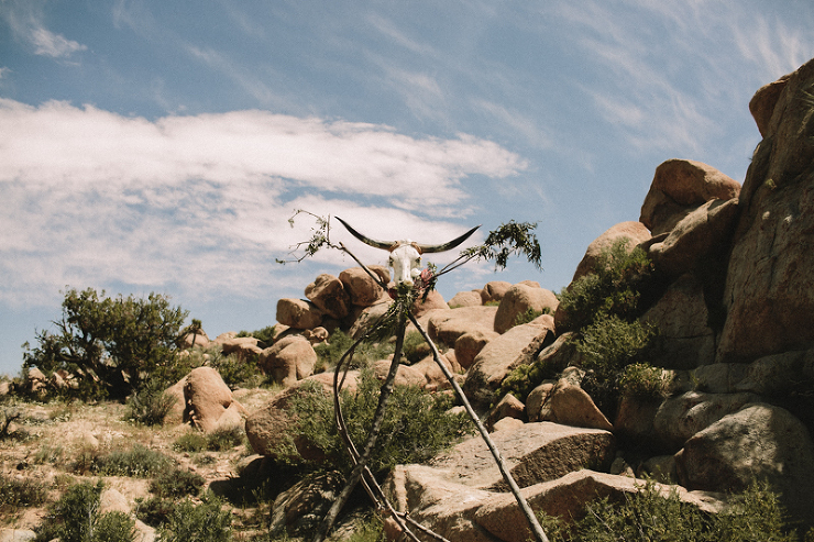 bull horn ceremony altar in the desert