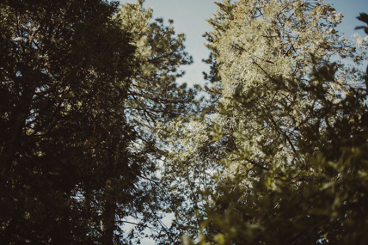 destination wedding photographer-41