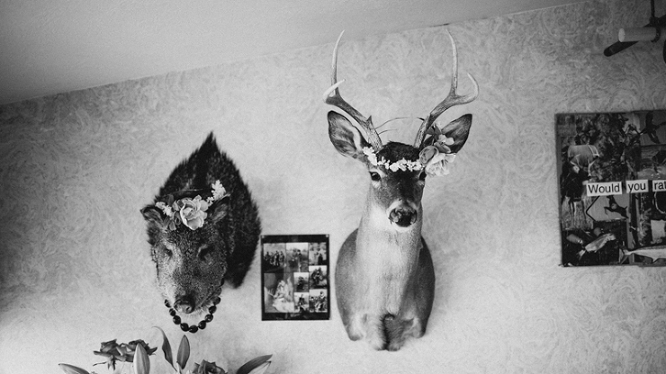 wedding photographer in santa cruz